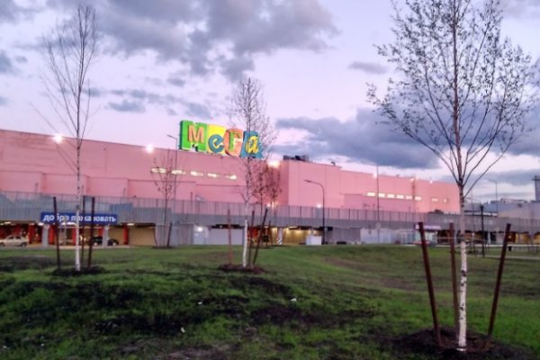 Кракен зеркало на сайт