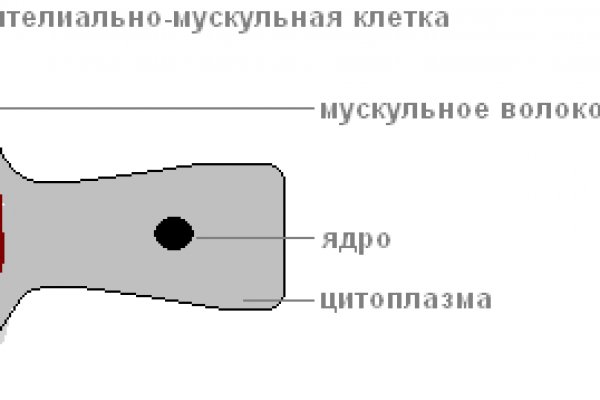 Кракен сайт бошки