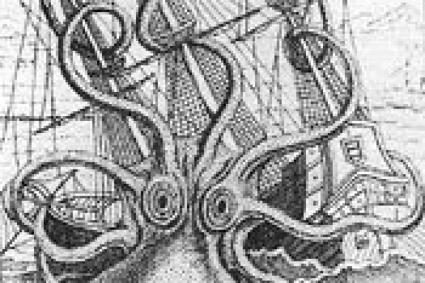 Kraken 6at