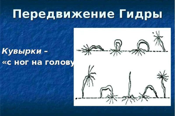 Кракен онион kraken dark link