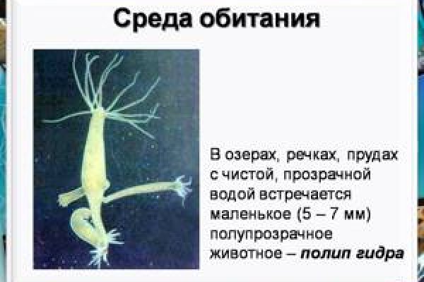 Кракен маркет darknet