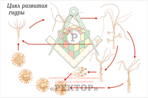 Актуальные ссылки кракен 2025